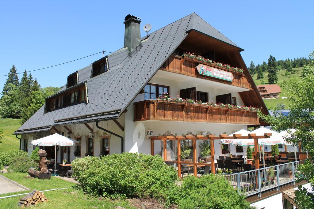 Hotel & Restaurant Gruener Baum - Die Gruene Oase Am Feldberg Feldberg  Bagian luar foto