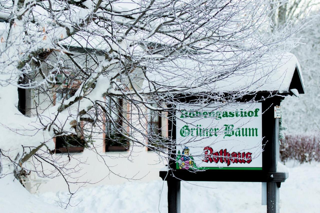 Hotel & Restaurant Gruener Baum - Die Gruene Oase Am Feldberg Feldberg  Bagian luar foto